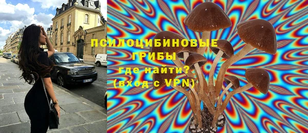 СК Сосновоборск