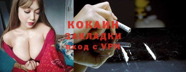 шишки Сосновка