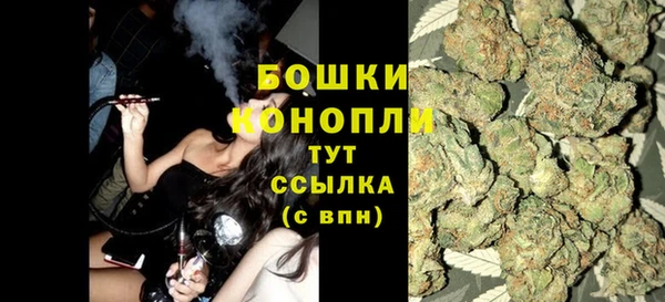 шишки Сосновка